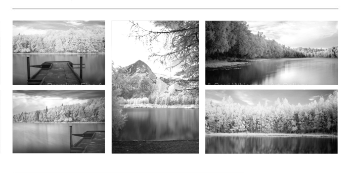 INFRARED-KINCAID-PARK-BLACK-AND-WHITE-FINE-ART-PHOTOGRAPHS-FOR-SALE