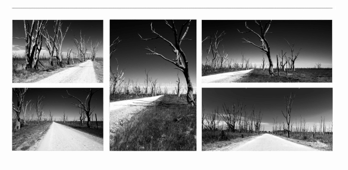 LANDSCAPE-WINTON-WETLANDS-DEAD-TREES-BLACK-AND-WHITE-FINE-ART-PHOTOGRAPHS-FOR-SALE
