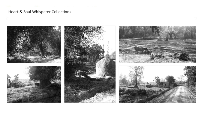 LANDSCAPES-THE-SIMPLE-LIFE-BLACK-AND-WHITE-FINE-ART-PHOTOGRAPHY-FOR-SALE