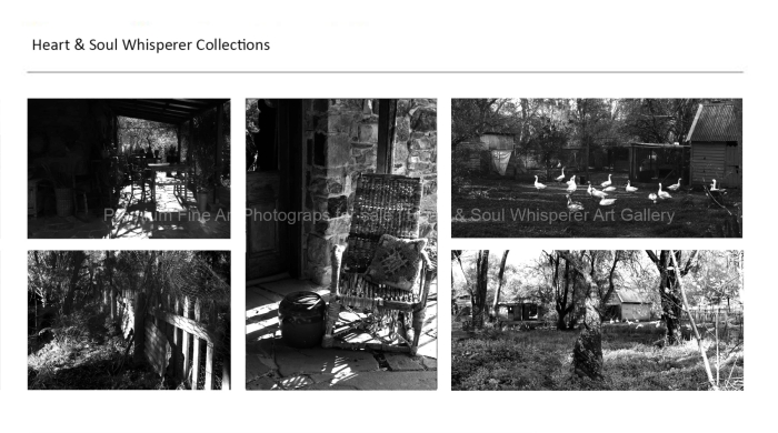 LAVANDURA-FARM-BLACK-AND-WHITE-FINE-ART-PHOTOGRAPHY-FOR-SALE_1