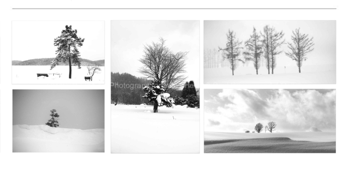 MINIMALISM-Winter-Trees-Japan-BLACK-AND-WHITE-FINE-ART-PHOTOGRAPHY-FOR-SALE