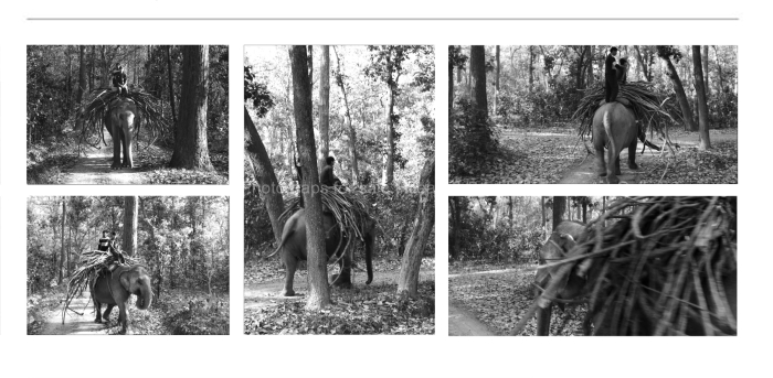 SENSE-OF-PLACE-INDIA-BLACK-AND-WHITE-FINE-ART-PHOTOGRAPHY-FOR-SALE