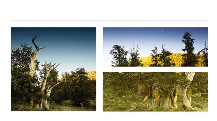 LANDSCAPE-PHOTOGRAPHS-11