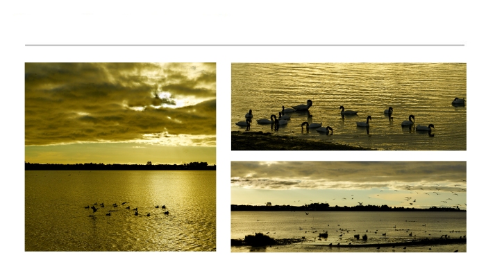 LANDSCAPE-PHOTOGRAPHS-16