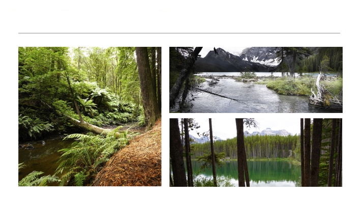 LANDSCAPE-PHOTOGRAPHS-24