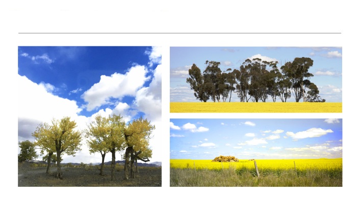 LANDSCAPE-PHOTOGRAPHS-27