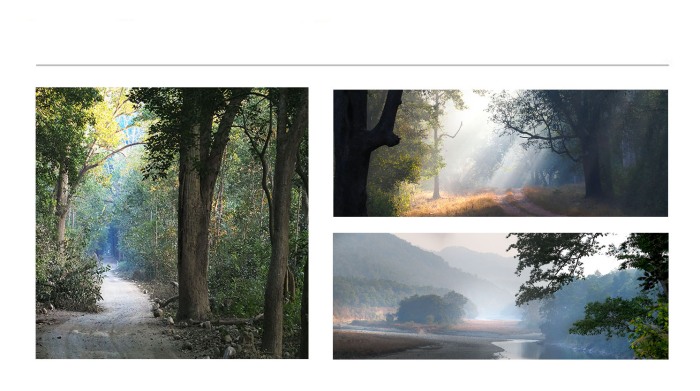 LANDSCAPE-PHOTOGRAPHS-3