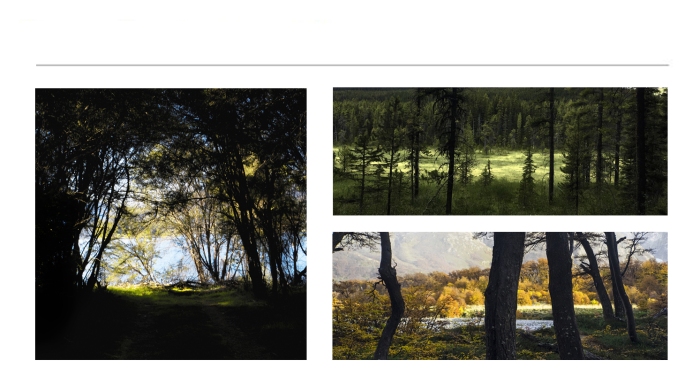 LANDSCAPE-PHOTOGRAPHS-38