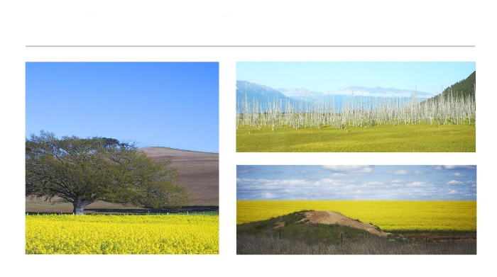 LANDSCAPE-PHOTOGRAPHS-4