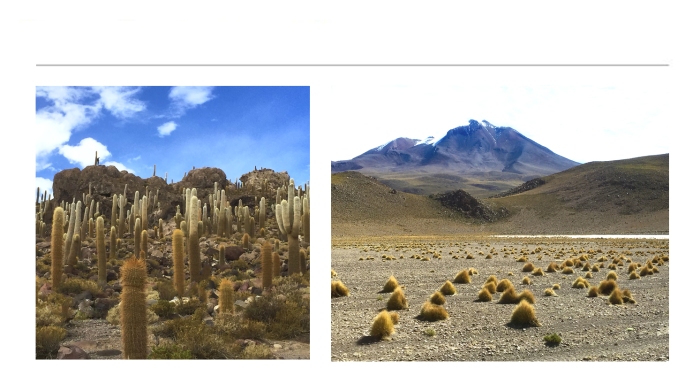 LANDSCAPE-PHOTOGRAPHS-58