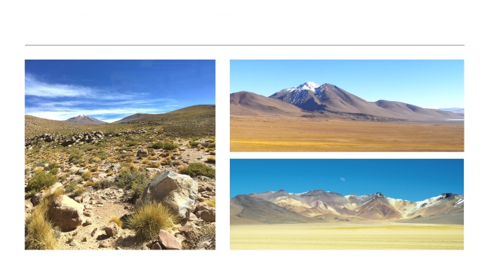 LANDSCAPE-PHOTOGRAPHS-59