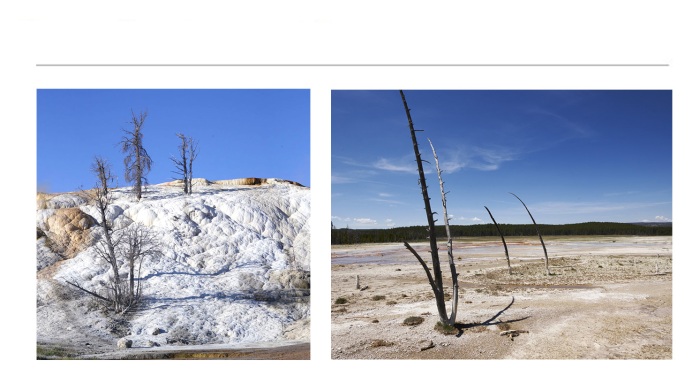 LANDSCAPE-PHOTOGRAPHS-8