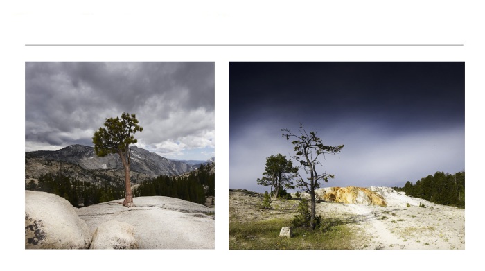 LANDSCAPE-PHOTOGRAPHS-9