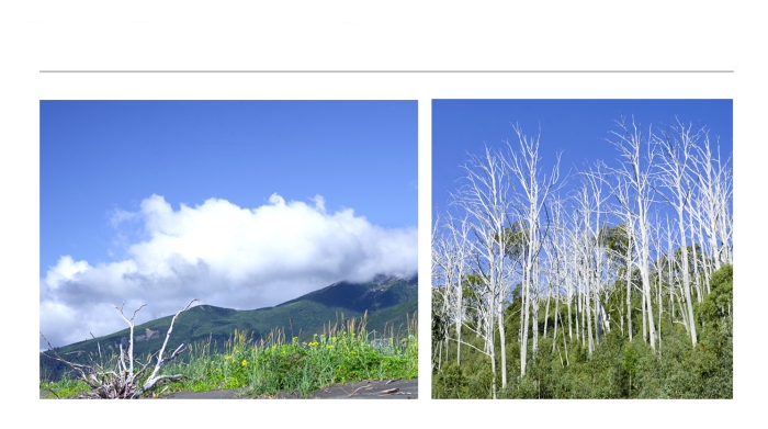 MINIMALISM-LANDSCAPE-PHOTOGRAPHS-5