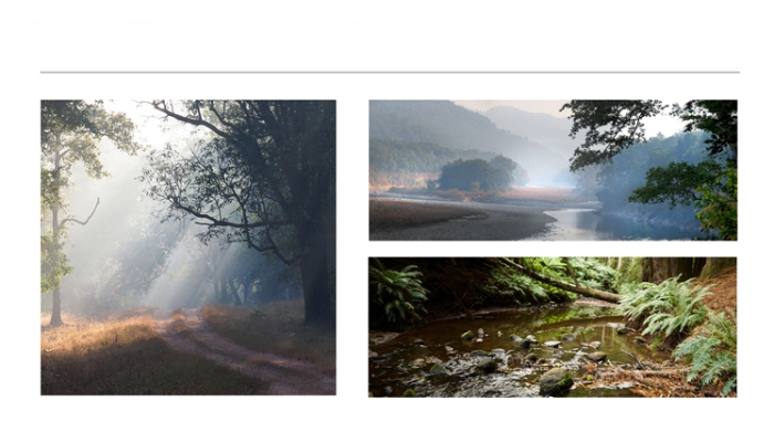 PREMIUM-FINE-ART-PHOTOGRAPHS-FOR-SALE-6