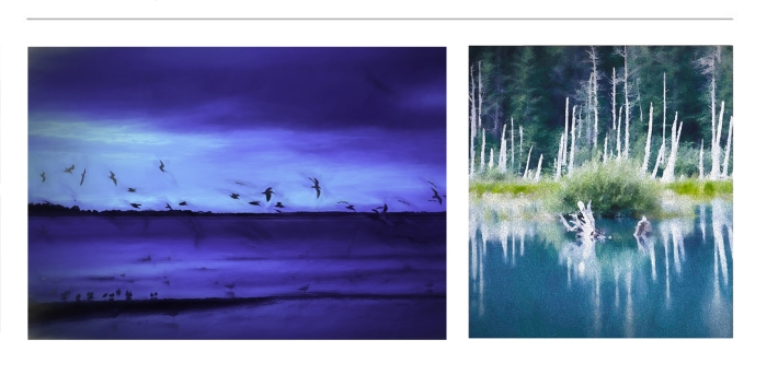 Digital-Art-Prints-For-Sale-19