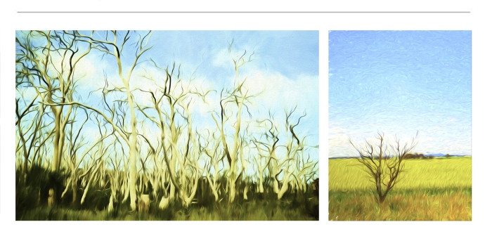 Digital-Art-Prints-For-Sale-39