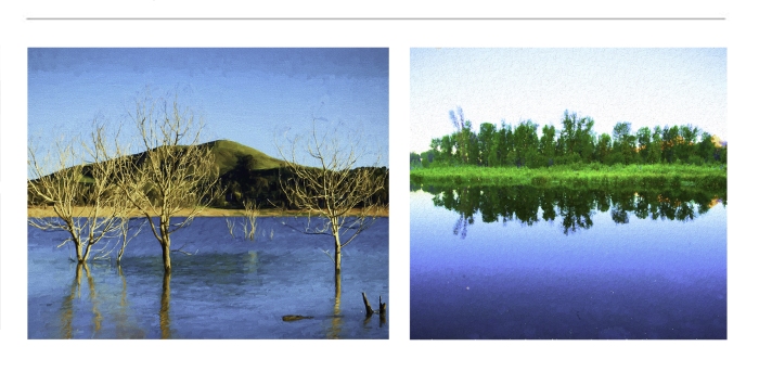 Digital-Art-Prints-For-Sale-46