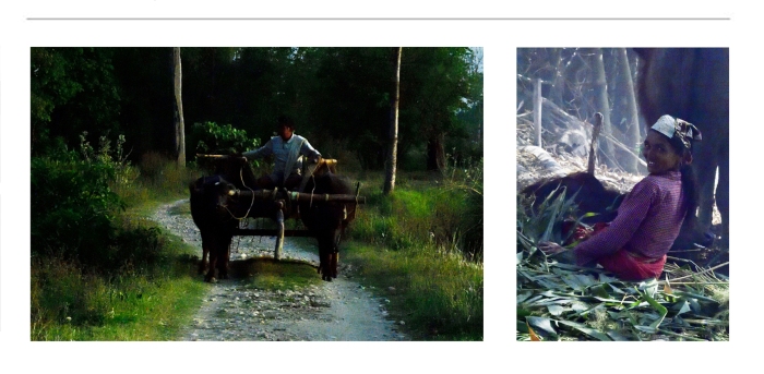 Digital-Art-Prints-For-Sale-53