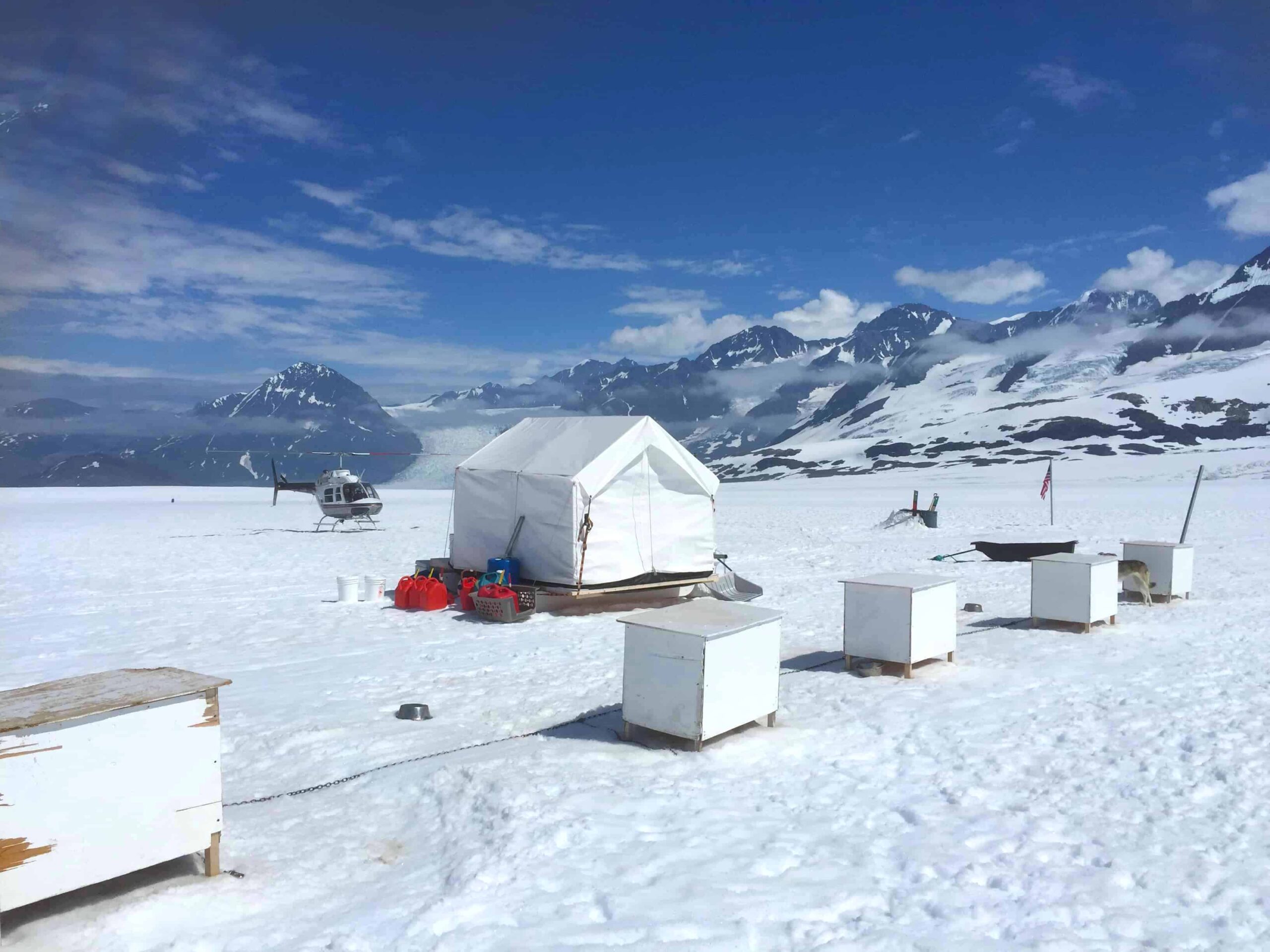Glacier Landing with Dog Sledding adventure Alaska, Glacier Dog Sledding & Helicopter Tour, Glacier Dog Sled Adventure, Alaska Glacier Dogsledding plus Lower Glacier Landing, Dr Zenaidy Castro award winning Photographer
