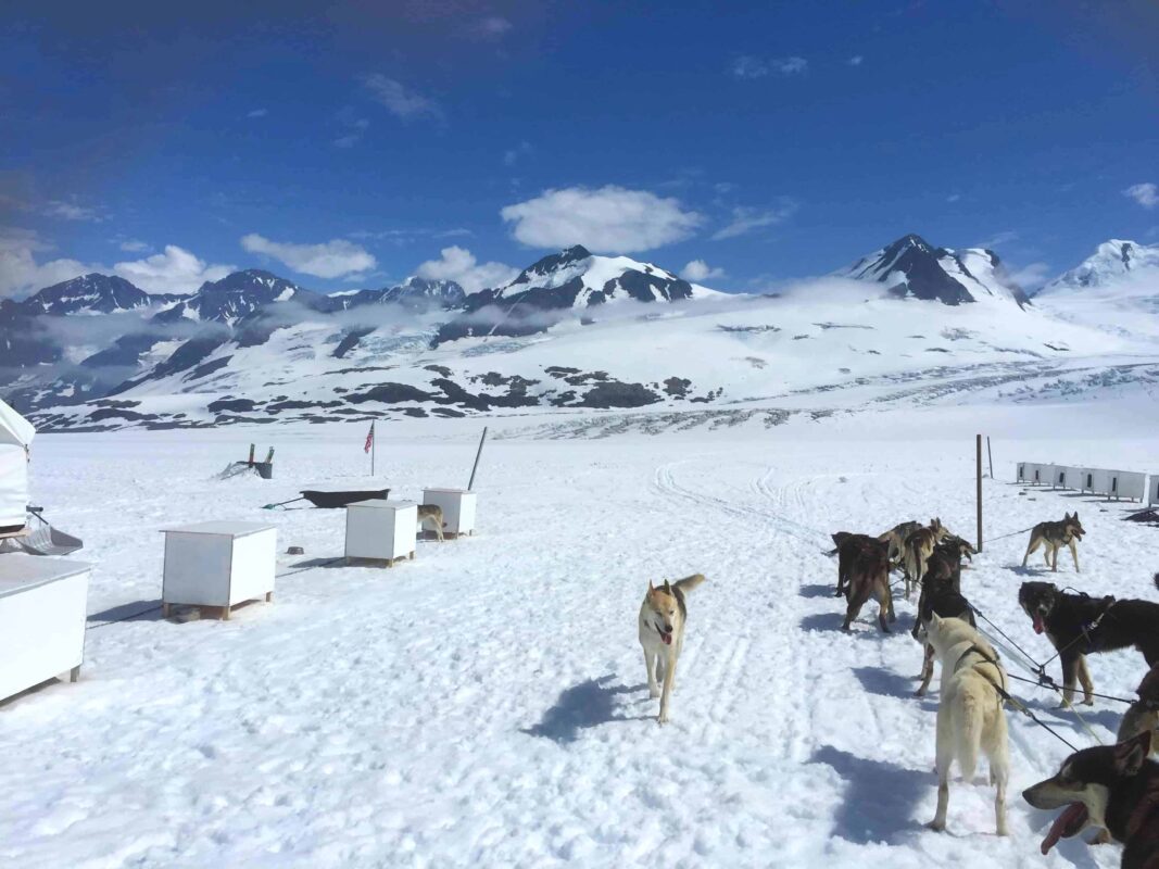 Glacier Landing with Dog Sledding adventure Alaska, Glacier Dog Sledding & Helicopter Tour, Glacier Dog Sled Adventure, Alaska Glacier Dogsledding plus Lower Glacier Landing, Dr Zenaidy Castro award winning Photographer