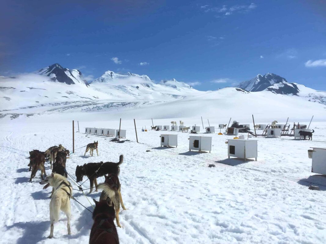 Glacier Landing with Dog Sledding adventure Alaska, Glacier Dog Sledding & Helicopter Tour, Glacier Dog Sled Adventure, Alaska Glacier Dogsledding plus Lower Glacier Landing, Dr Zenaidy Castro award winning Photographer