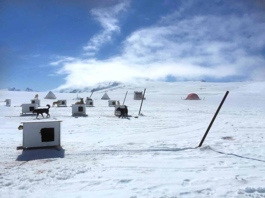 Glacier Landing with Dog Sledding adventure Alaska, Glacier Dog Sledding & Helicopter Tour, Glacier Dog Sled Adventure, Alaska Glacier Dogsledding plus Lower Glacier Landing, Dr Zenaidy Castro award winning Photographer