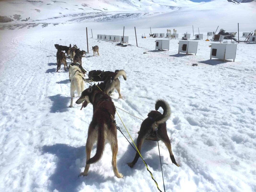 Glacier Landing with Dog Sledding adventure Alaska, Glacier Dog Sledding & Helicopter Tour, Glacier Dog Sled Adventure, Alaska Glacier Dogsledding plus Lower Glacier Landing, Dr Zenaidy Castro award winning Photographer