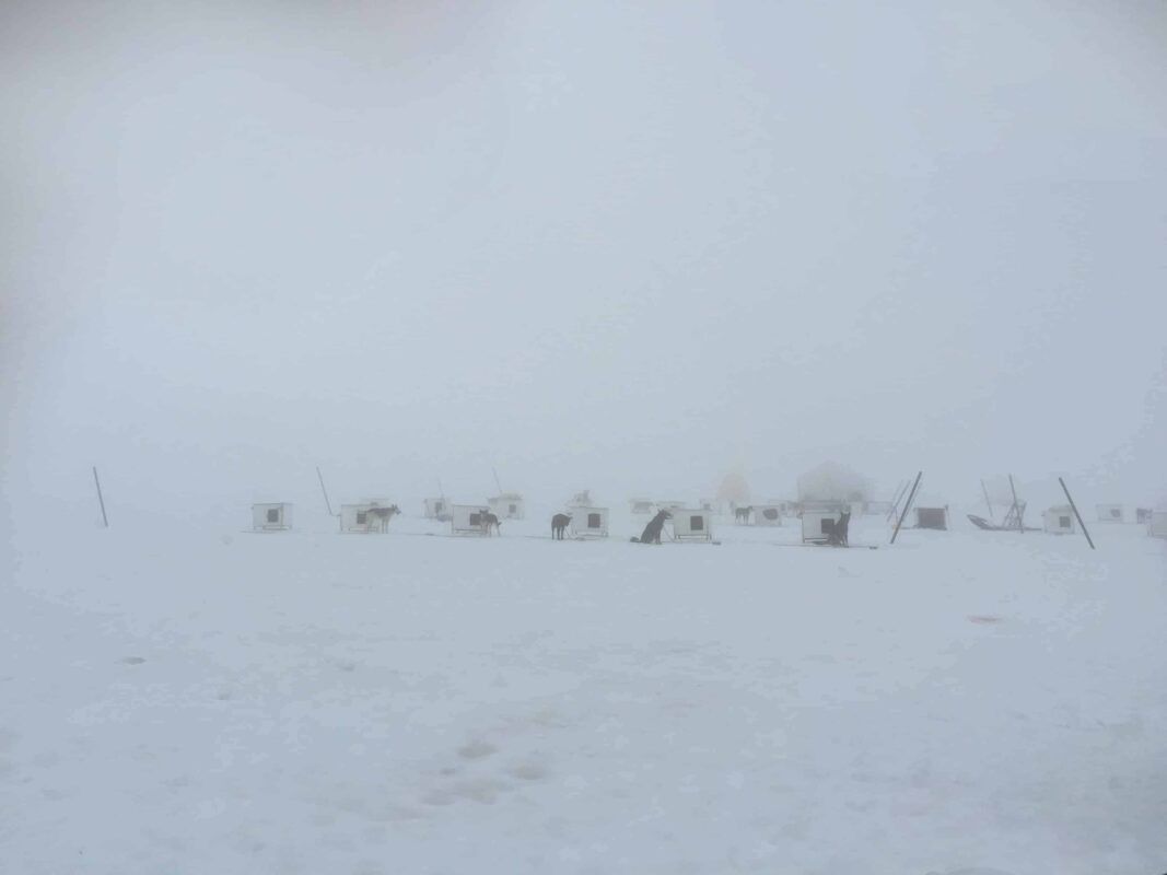 Glacier Landing with Dog Sledding adventure Alaska, Glacier Dog Sledding & Helicopter Tour, Glacier Dog Sled Adventure, Alaska Glacier Dogsledding plus Lower Glacier Landing, Dr Zenaidy Castro award winning Photographer