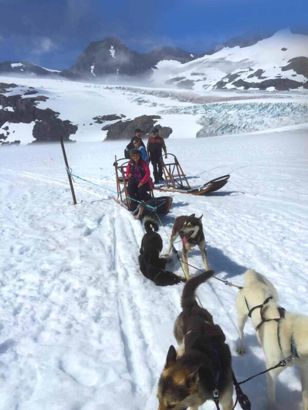 Glacier Landing with Dog Sledding adventure Alaska, Glacier Dog Sledding & Helicopter Tour, Glacier Dog Sled Adventure, Alaska Glacier Dogsledding plus Lower Glacier Landing, Dr Zenaidy Castro award winning Photographer