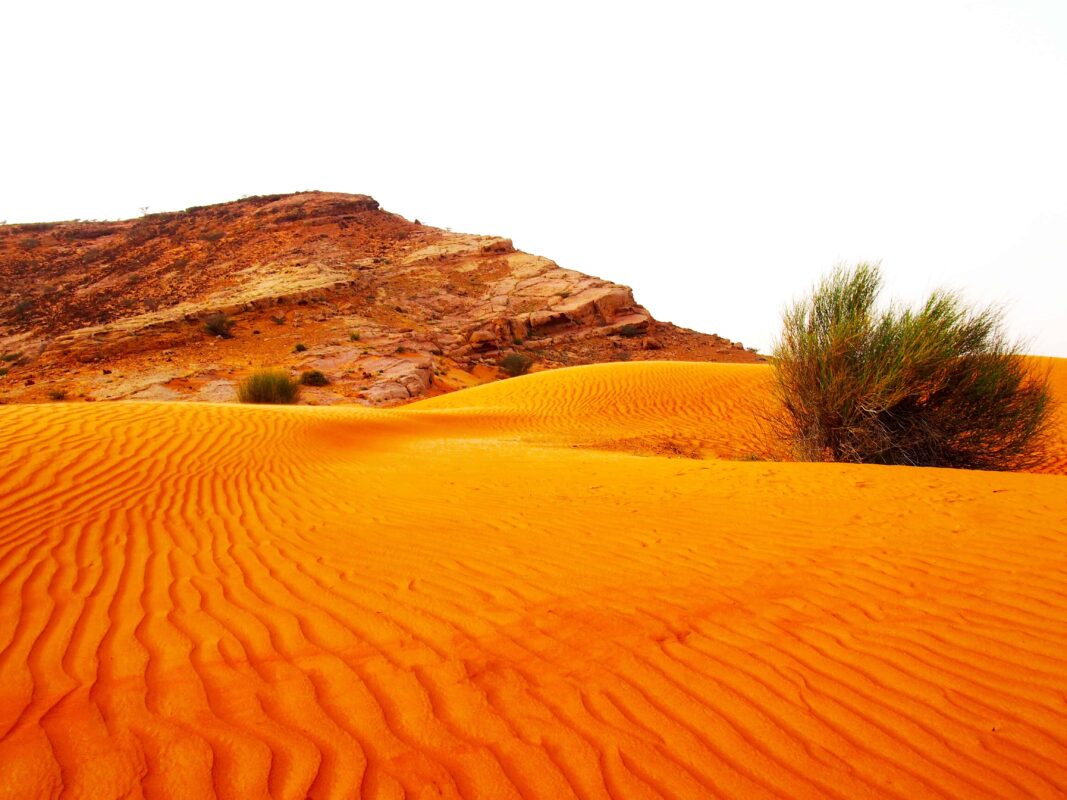 Arabian Adventures with Desert Safari in Dubai, Evening Desert Safari in Dubai, Desert Experience with Arabian Adventure