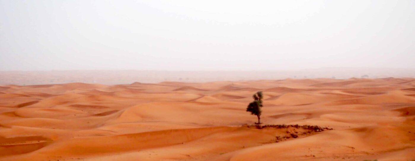 Arabian Adventures with Desert Safari in Dubai, Evening Desert Safari in Dubai, Desert Experience with Arabian Adventure