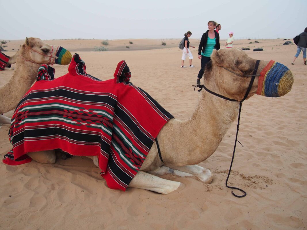 Arabian Adventures with Desert Safari in Dubai, Evening Desert Safari in Dubai, Desert Experience with Arabian Adventure