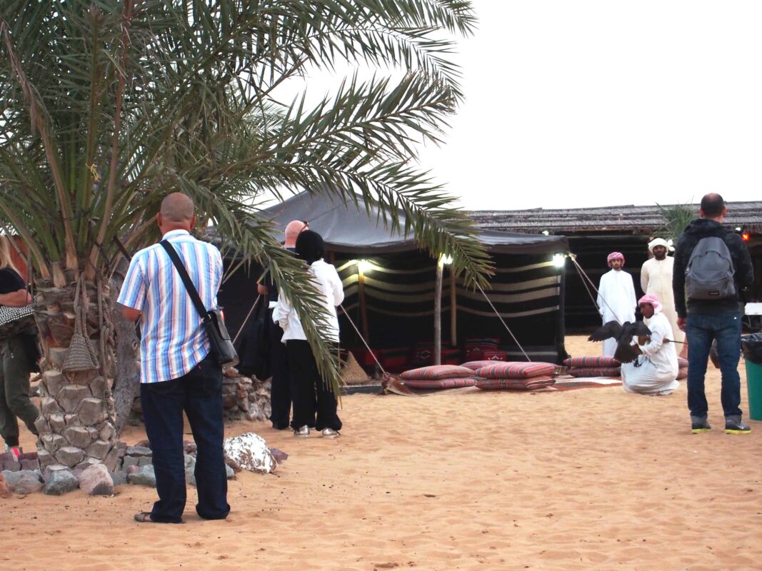 Arabian Adventures with Desert Safari in Dubai, Evening Desert Safari in Dubai, Desert Experience with Arabian Adventure