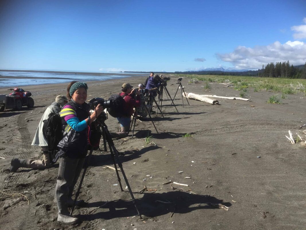 Bear hugs & the Bear facts, Black Bear, Grizzly Bear Cubs Photo Prints, Dr Zenaidy Castro Photography, globetrotting Dentist and award winning Cultural portrait Photographer,