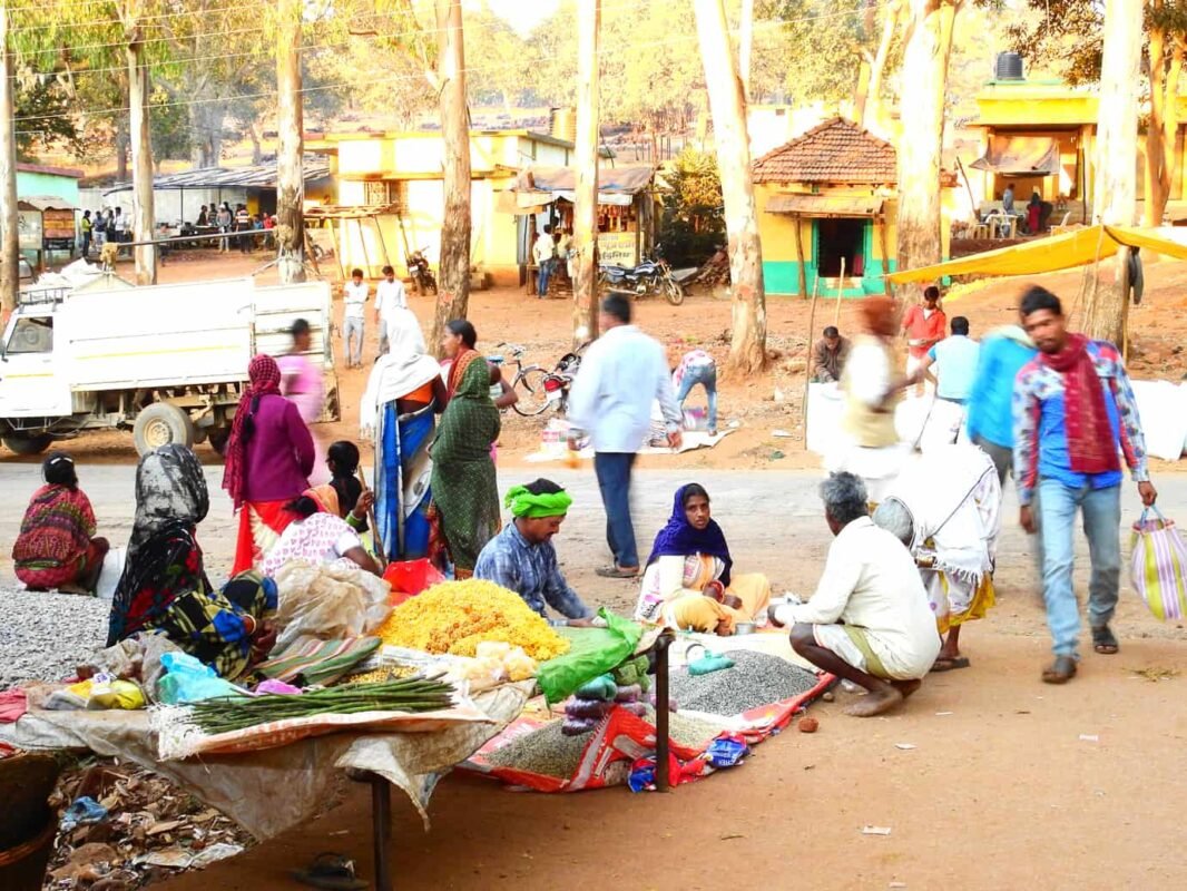 Cultural Portrait of Baiga People in Central India- Travel Blog by Dr Zenaidy Castro