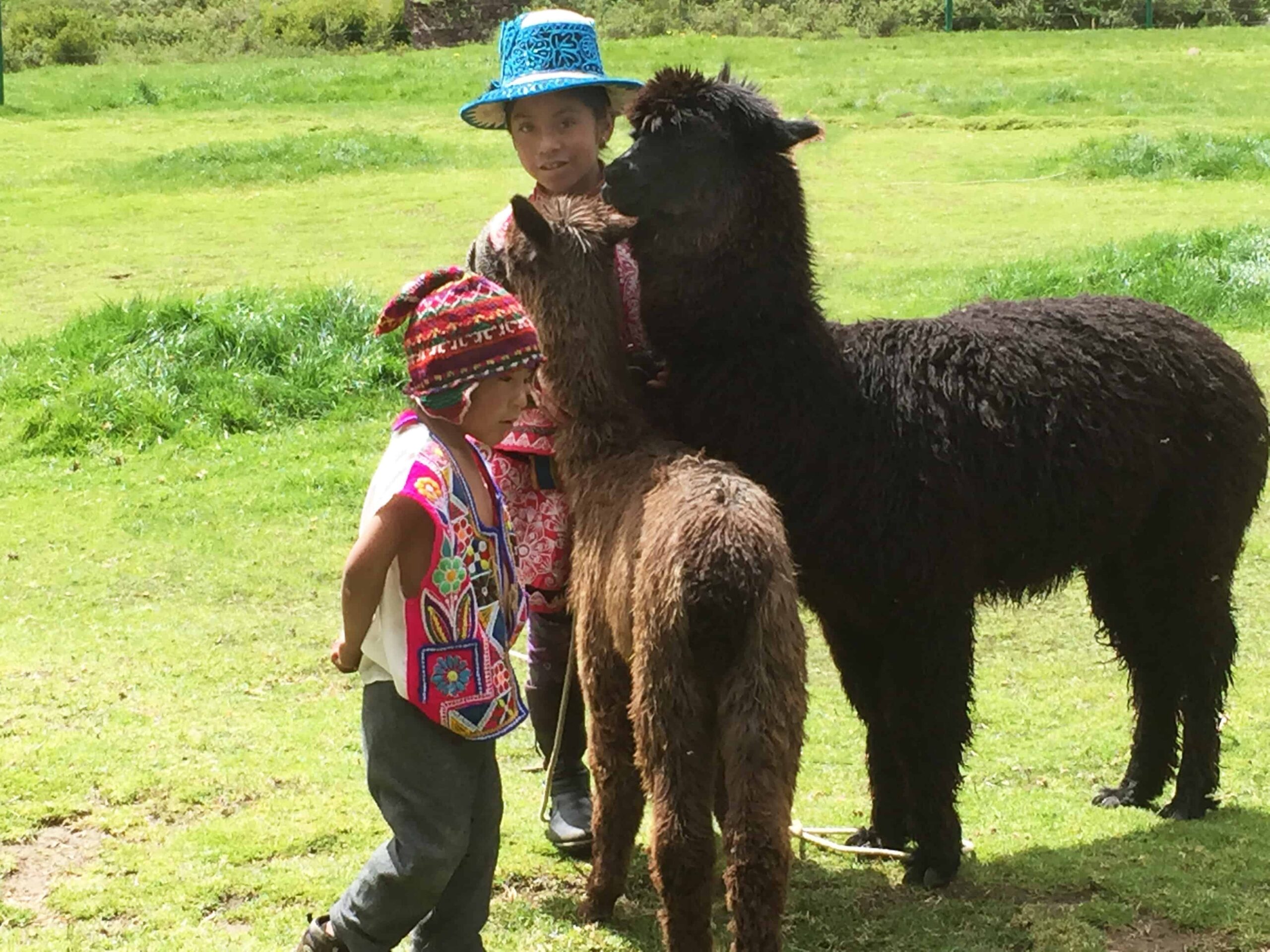 Cusco to Puno Peru Travel by 9 hours Bus Ride, Cusco to Puno Bus Tour in Peru