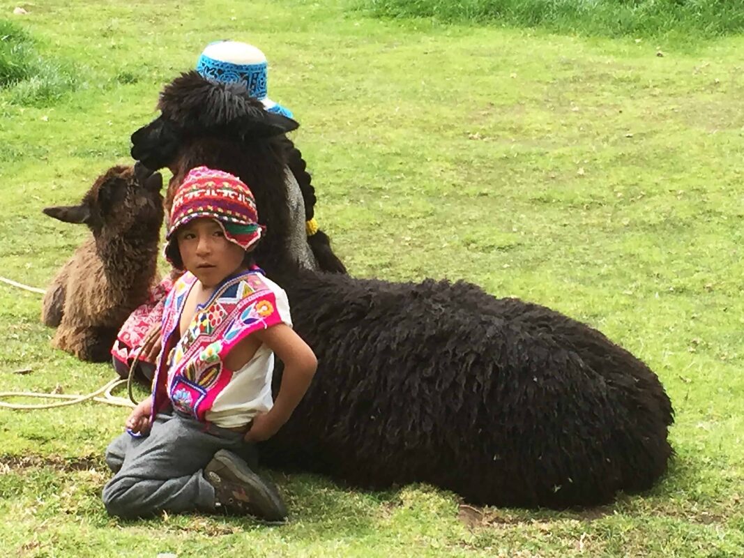 Cusco to Puno Peru Travel by 9 hours Bus Ride, Cusco to Puno Bus Tour in Peru: What You’ll See Along The Way, Bus from Cusco to Lake Titicaca. Traveling from Cusco to Lake Titicaca