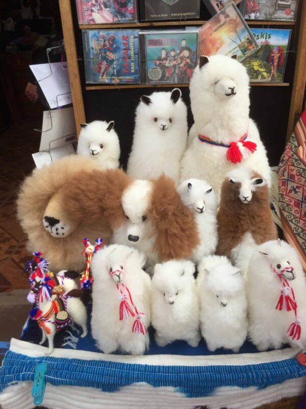 Cusco to Puno Peru Travel by 9 hours Bus Ride, Cusco to Puno Bus Tour in Peru: What You’ll See Along The Way, Bus from Cusco to Lake Titicaca. Traveling from Cusco to Lake Titicaca