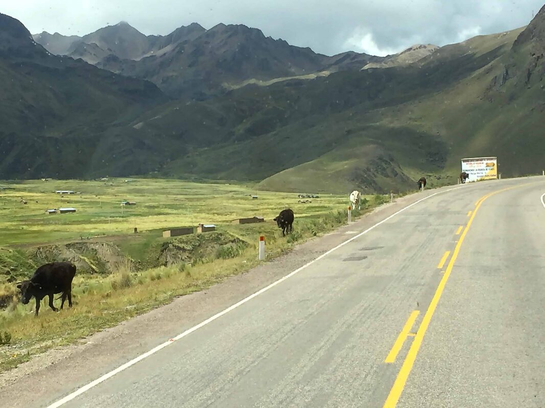 Cusco to Puno Peru Travel by 9 hours Bus Ride, Cusco to Puno Bus Tour in Peru: What You’ll See Along The Way, Bus from Cusco to Lake Titicaca. Traveling from Cusco to Lake Titicaca