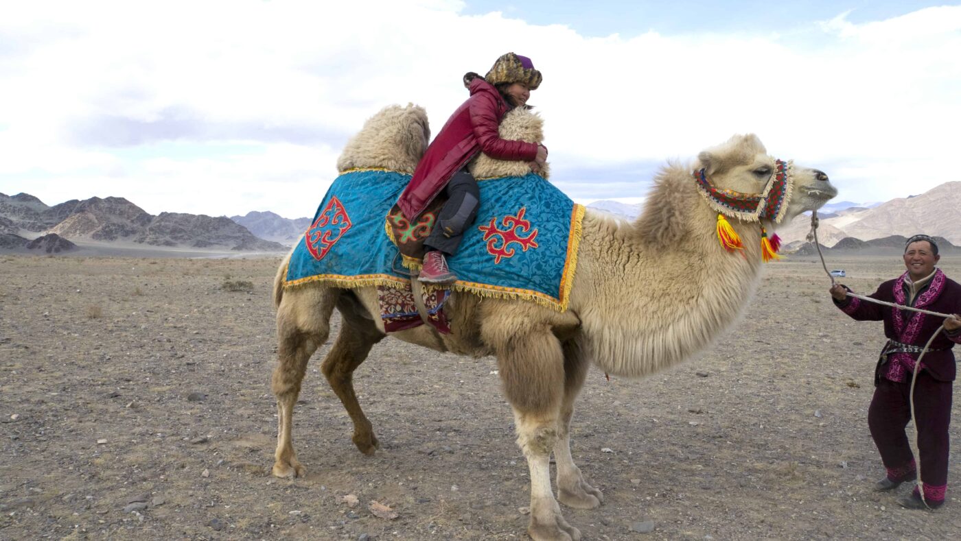 Managing Fear Riding Camel, Conquering the fear of riding Camel in Mongolia, What to Expect When Riding Camel, Camel Riding in Mongolia, Camel riding experience
