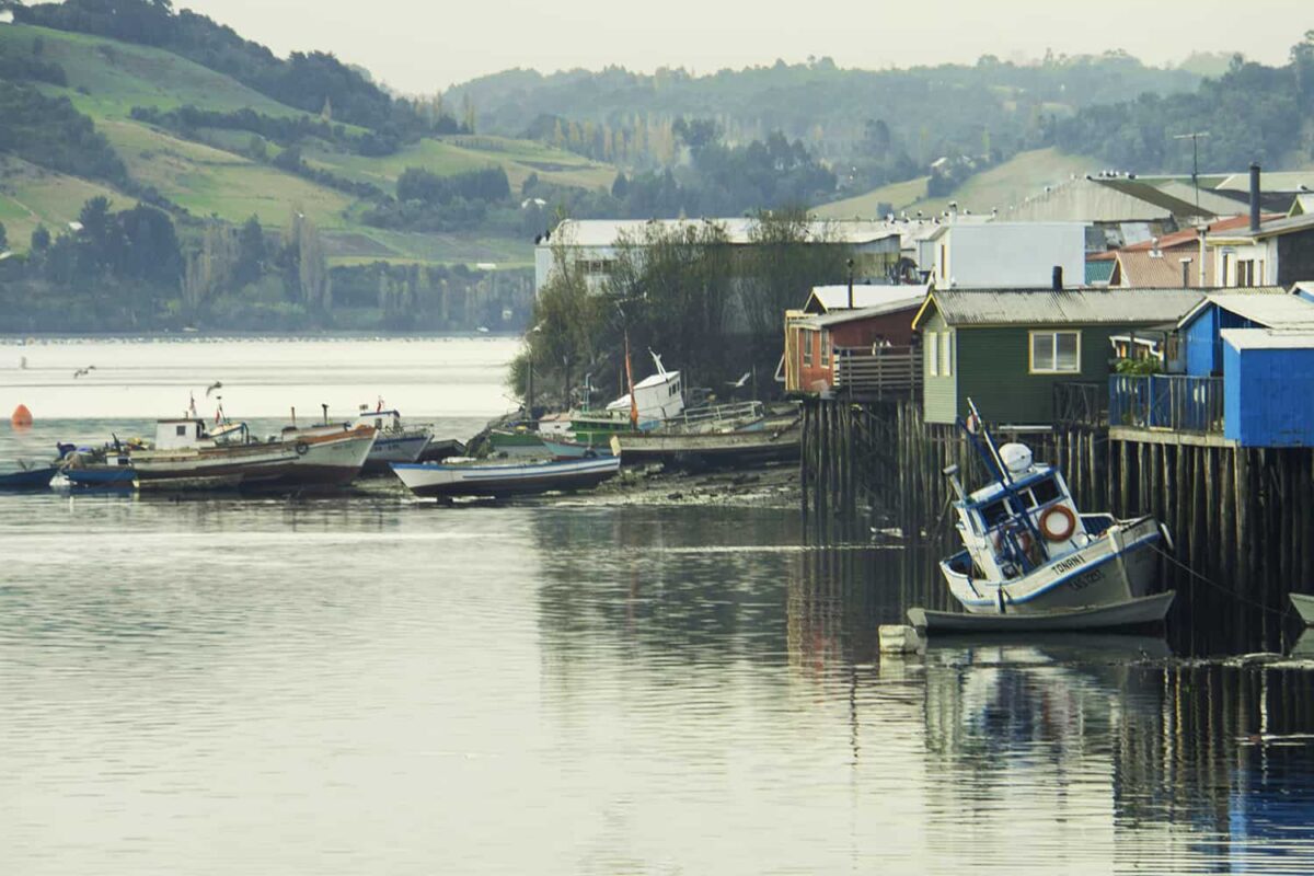 Impact of Global Warming, Impact of Global Warming on our Oceans and Aquatic animals, Effect of Global warming on our Oceans and Sea Mammals, Climate Change Impacts on the Ocean and Marine, Impact of global warming on aquatic animals, Effects of global warming on our oceans