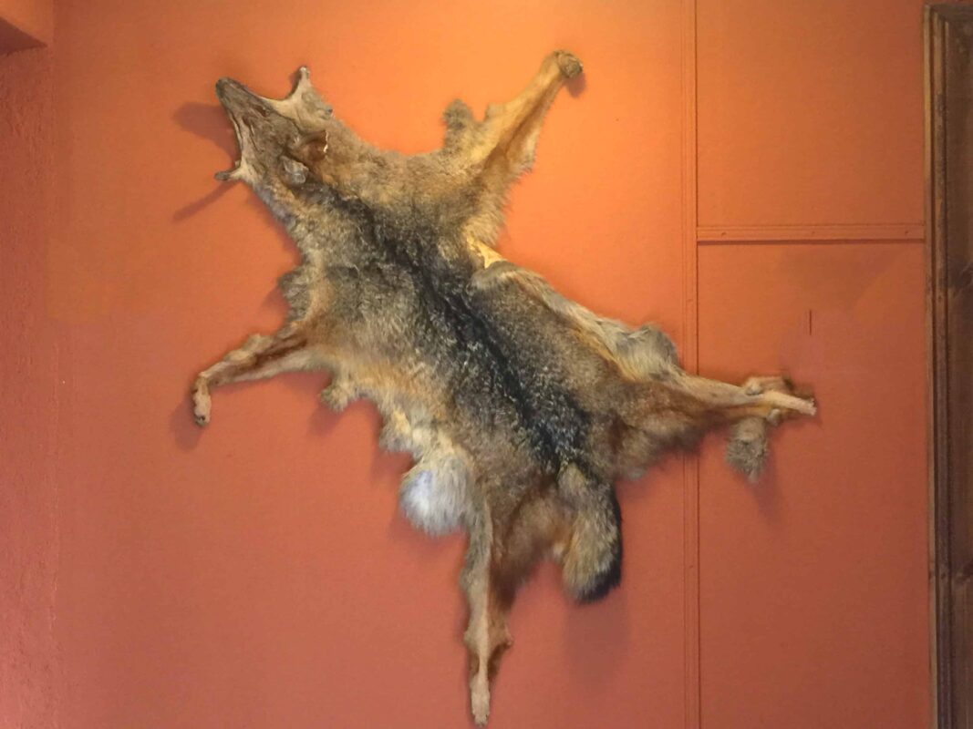 Explore the town or village of El Chaltén Argentina before trekking Mount Fitz Roy Mountain. Los Glaciares National Park in the Argentinean Patagonia. Street Photography in Town of El Chaltén Argentina South America, Travel Photography in El Chaltén Argentina South America blog by Dr Zenaidy Castro