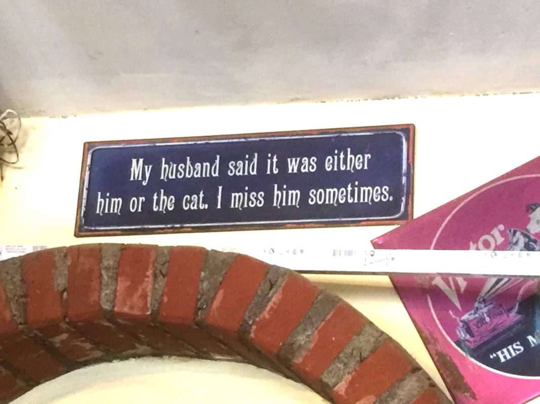 Explore the town or village of El Chaltén Argentina before trekking Mount Fitz Roy Mountain. Los Glaciares National Park in the Argentinean Patagonia. Street Photography in Town of El Chaltén Argentina South America, Travel Photography in El Chaltén Argentina South America blog by Dr Zenaidy Castro