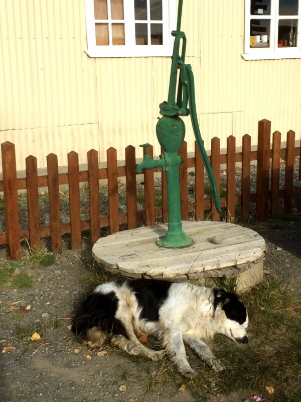 Explore the town or village of El Chaltén Argentina before trekking Mount Fitz Roy Mountain. Los Glaciares National Park in the Argentinean Patagonia. Street Photography in Town of El Chaltén Argentina South America, Travel Photography in El Chaltén Argentina South America blog by Dr Zenaidy Castro