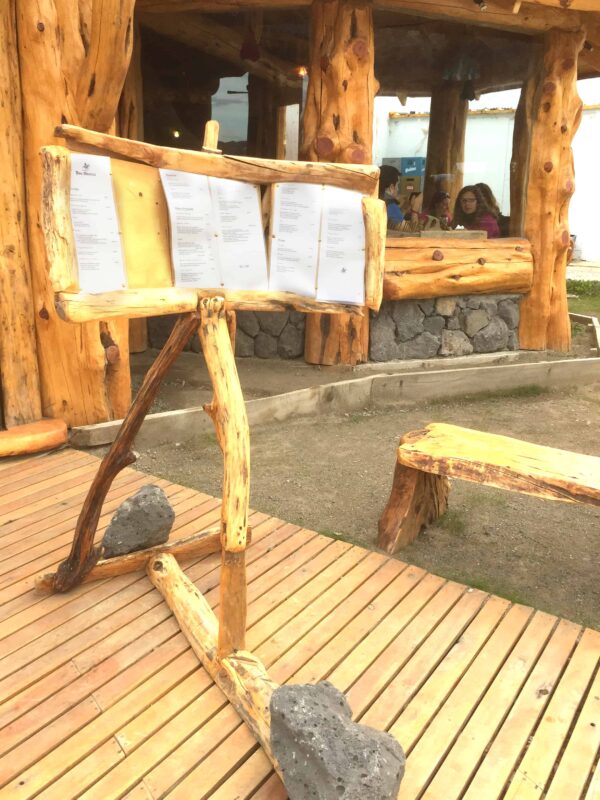 Explore the town or village of El Chaltén Argentina before trekking Mount Fitz Roy Mountain. Los Glaciares National Park in the Argentinean Patagonia. Street Photography in Town of El Chaltén Argentina South America, Travel Photography in El Chaltén Argentina South America blog by Dr Zenaidy Castro