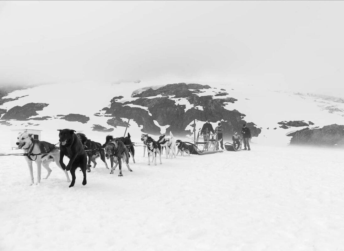 Glacier Landing with Dog Sledding adventure Alaska, Glacier Dog Sledding & Helicopter Tour, Glacier Dog Sled Adventure, Alaska Glacier Dogsledding plus Lower Glacier Landing