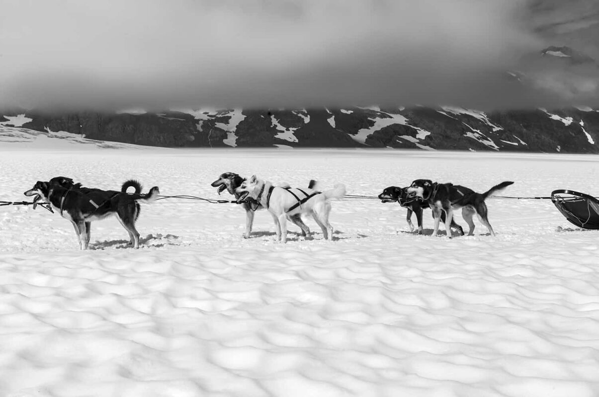 Glacier Landing with Dog Sledding adventure Alaska, Glacier Dog Sledding & Helicopter Tour, Glacier Dog Sled Adventure, Alaska Glacier Dogsledding plus Lower Glacier Landing