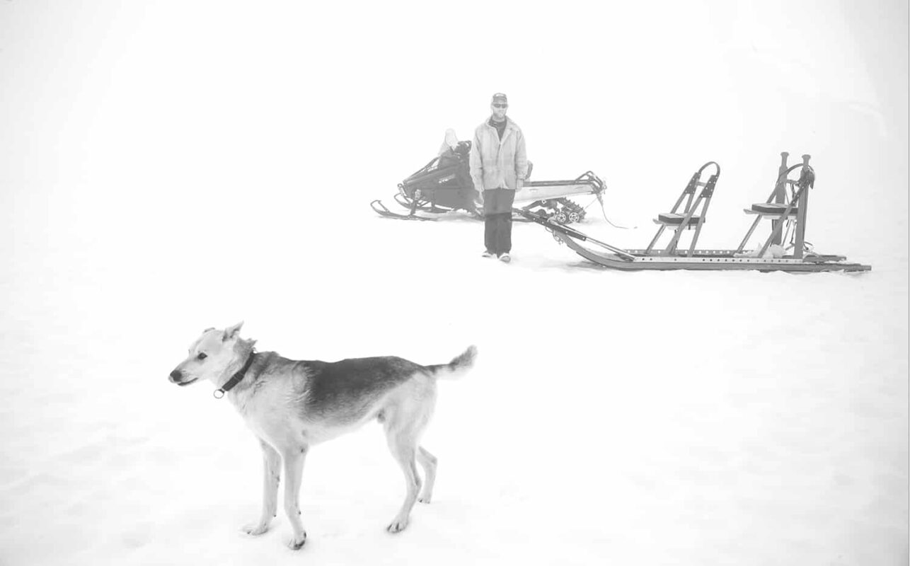 Glacier Landing with Dog Sledding adventure Alaska, Glacier Dog Sledding & Helicopter Tour, Glacier Dog Sled Adventure, Alaska Glacier Dogsledding plus Lower Glacier Landing