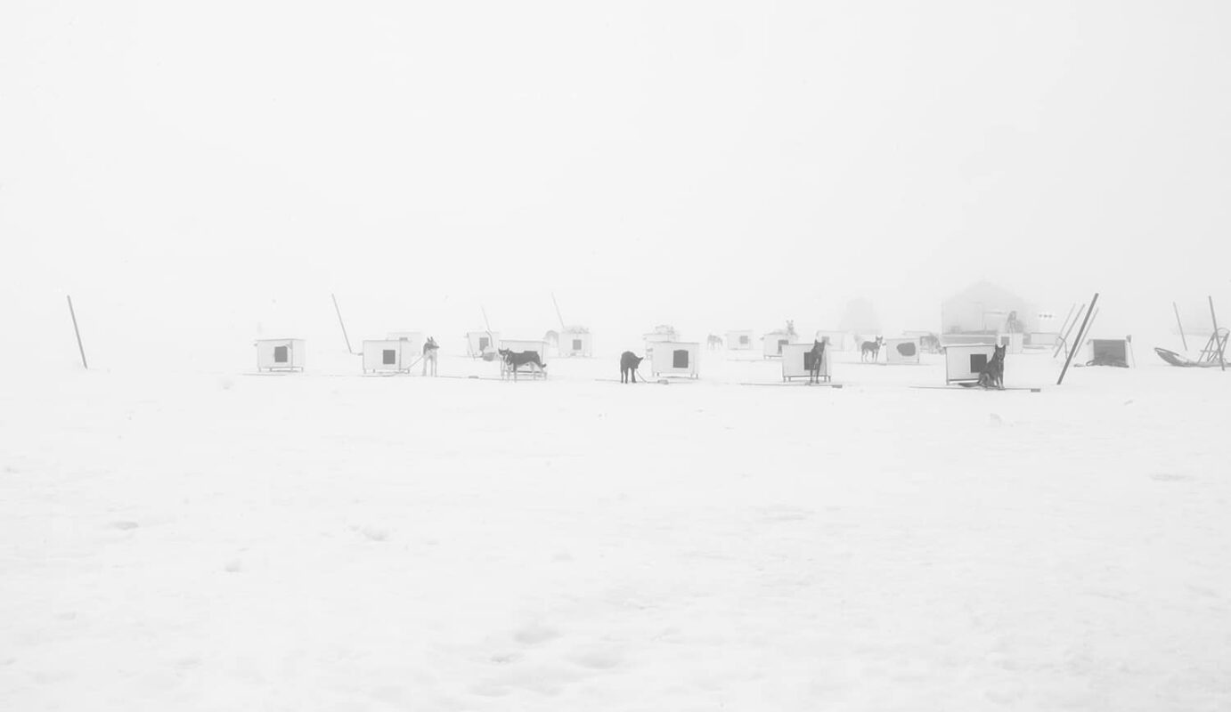 Glacier Landing with Dog Sledding adventure Alaska, Glacier Dog Sledding & Helicopter Tour, Glacier Dog Sled Adventure, Alaska Glacier Dogsledding plus Lower Glacier Landing